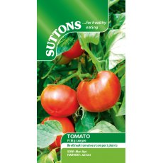 Suttons Tomato F1 Big League Seeds