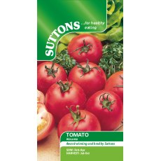 Suttons Tomato Alicante Seeds