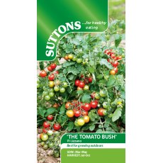 Tomato Lizzano F1 'The Tomato Bush' Seeds