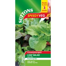 Speedy Veg Leaf Salad Spicy Mix Seeds