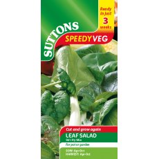 Speedy Veg Leaf Salad Stir Fry Mix Seeds