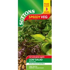 Speedy Veg Leaf Salad Winter Mix Seeds