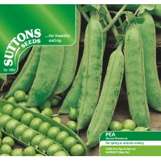 Pea Douce Provence Seeds