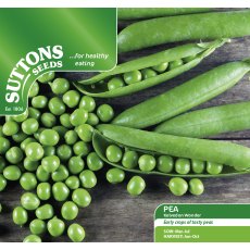 Pea Kelvedon Wonder Seeds