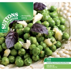 Pea Lincoln Seeds