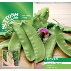 Snow Pea Green Beauty Seeds