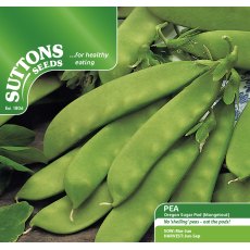 Pea Oregon Sugar Pod Mangetout Seeds