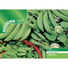 Snap Pea Sugar Delikett Seeds