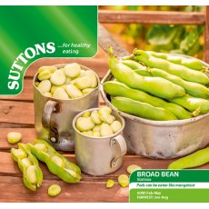 Broad Bean Statissa Seeds