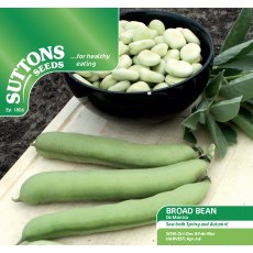 Broad Bean De Monica Seeds