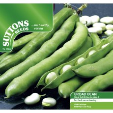 Broad Bean Giant Exhibition Longpod Seeds