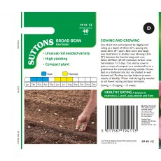 Suttons Bean Broad Karmazyn Seeds