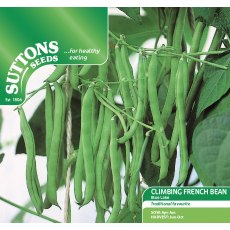 Climbing French Bean Blue Lake Seeds