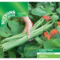 Runner Bean Benchmaster Seeds