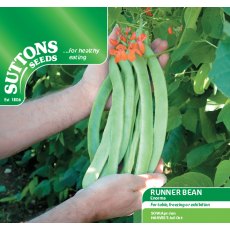 Runner Bean Enorma Seeds