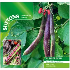 Runner Bean Black Knight Seeds