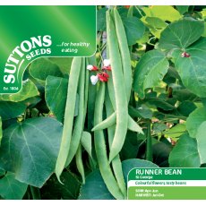 Runner Bean St George Seeds