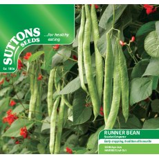 Runner Bean Scarlet Emperor Seeds