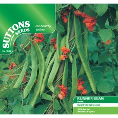 Runner Bean Butler Stringless Seeds