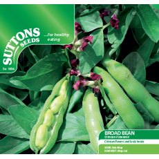 Broad Bean Crimson Flowered Seeds