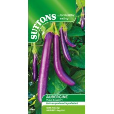 Suttons Aubergine Violet Knight F1 Seeds