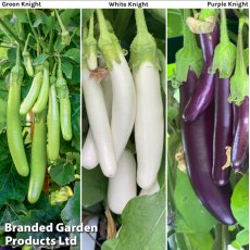 Suttons Aubergine Three Knight Collection F1 Recipe Seeds