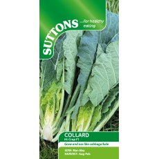 Suttons Collard Hi-Crop F1 Seeds