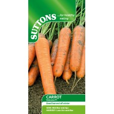 Carrot Volcano F1 Seeds