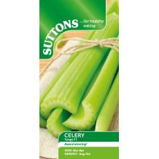 Suttons Tango Celery Hybrid F1 Seeds