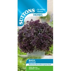 Suttons Herb Basil Purple Ball Seeds