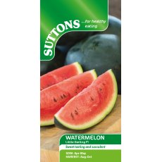 Suttons Little Darling Watermelon F1 Seeds