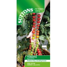 Suttons Tomato Rapunzel F1 Seeds