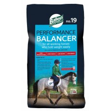 Baileys No.19 Performance Balancer 20kg