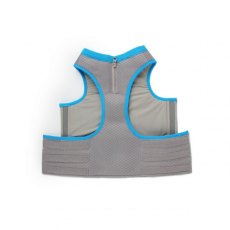 All For Paws Chill Out Cooling Vest