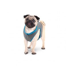 All For Paws Chill Out Cooling Vest