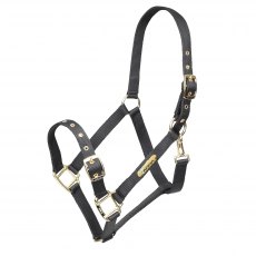 Shires Arma Adjustable Headcollar Black