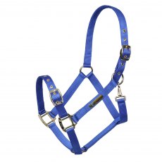 Shires Arma Adjustable Headcollar Blue