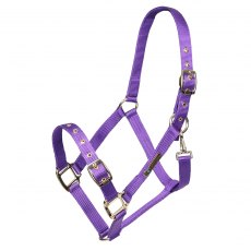 Shires Arma Adjustable Headcollar Purple