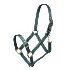 Shires Arma Adjustable Headcollar Green