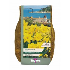 Taylor's Bulbs Narcissi Cornish Gold Bulbs 2kg