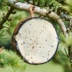 Harrisons Half Coconut Suet Feeder