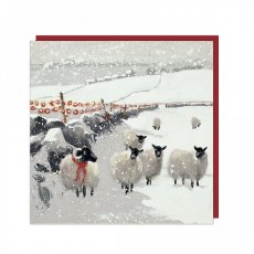 Xmas Card Winter Flock 6 Pack