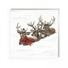 Xmas Card Let It Snow 6 Pack