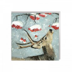 Xmas Card Berry Christmas 6 Pack