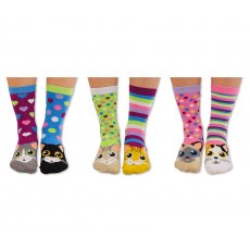 United Oddsocks Catwalk 4-8 6 Pack