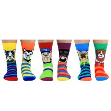 United Oddsocks Go Mutts! 6-11 6 Pack