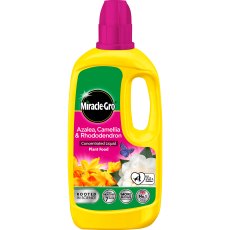 Miracle Gro Azalea Concentrated Plant Food 800ml