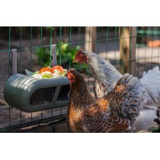 Beeztees Poultry Feeder Grey