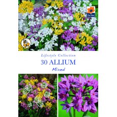 De Rees Allium Mixed Bulbs