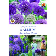 De Rees Allium Sensation Mixed Bulbs